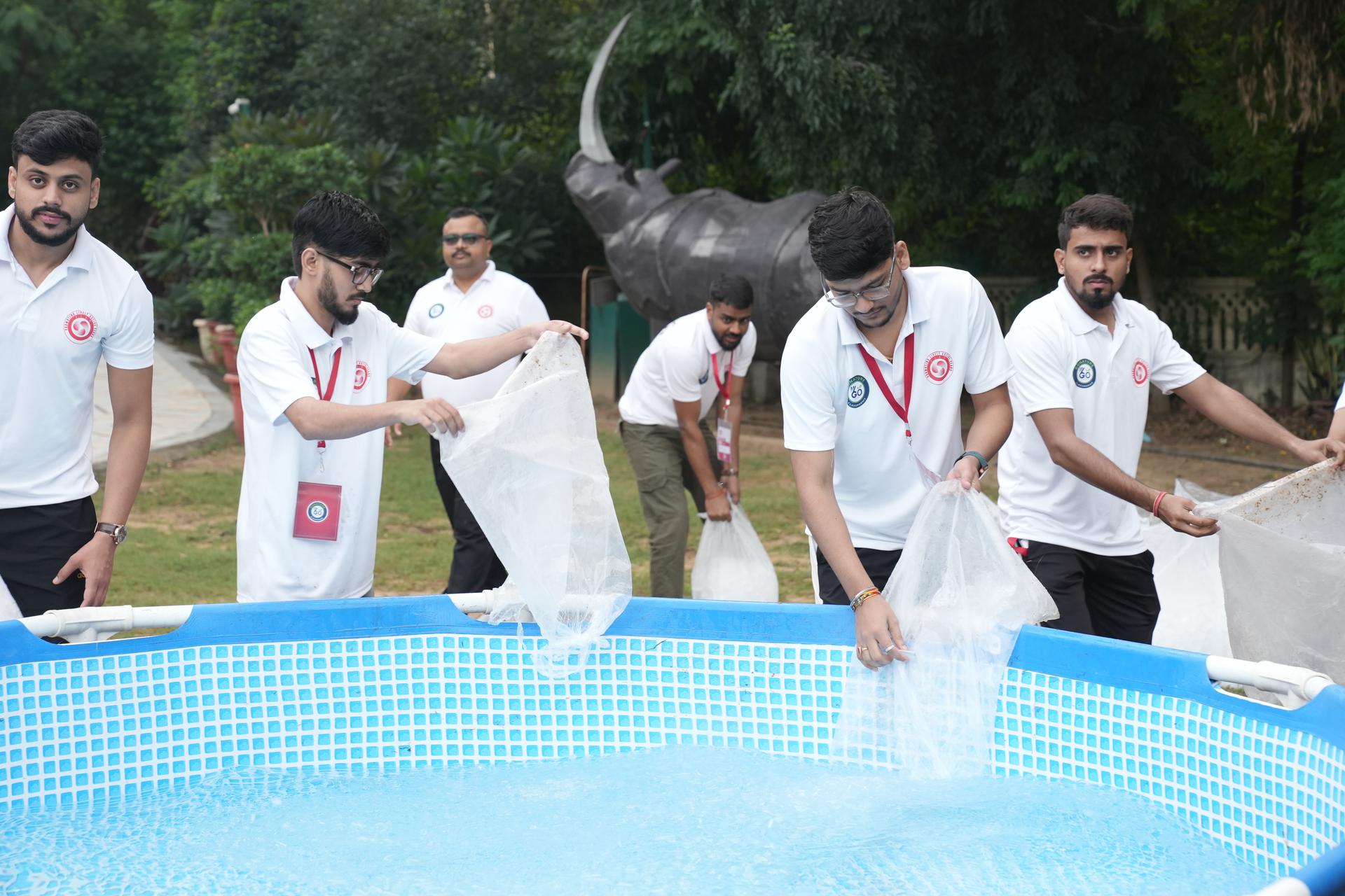 Ice Bath Activity